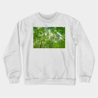 Blue Ridge Mountains Trees Crewneck Sweatshirt